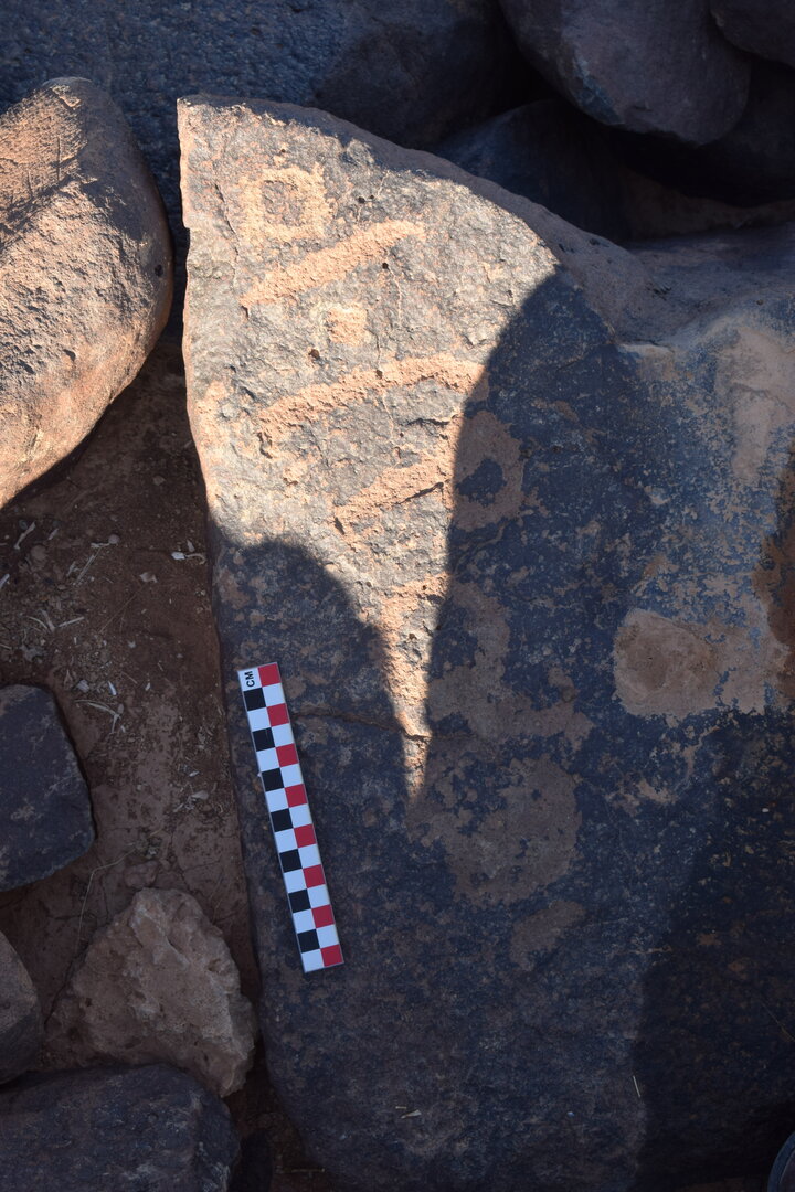 Image of BES26_HRN2 7