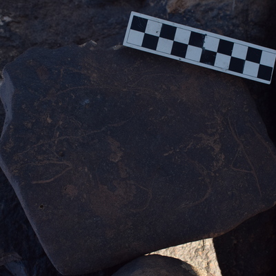 Image of BES26_HRN2 8