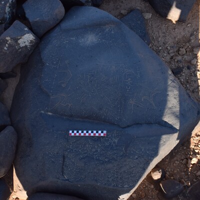 Image of BES26_HRN3 1
