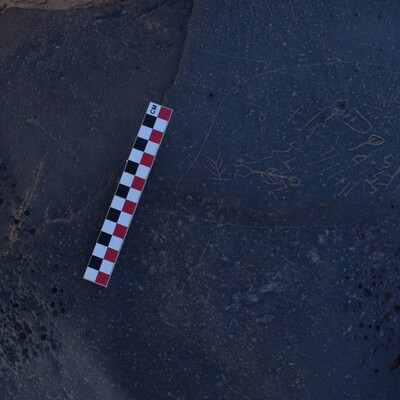 Image of BES26_HRN3 3