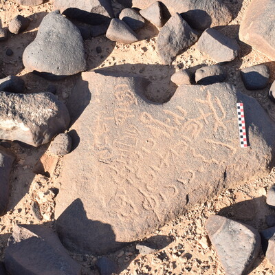 Image of BES26_HRN3 4