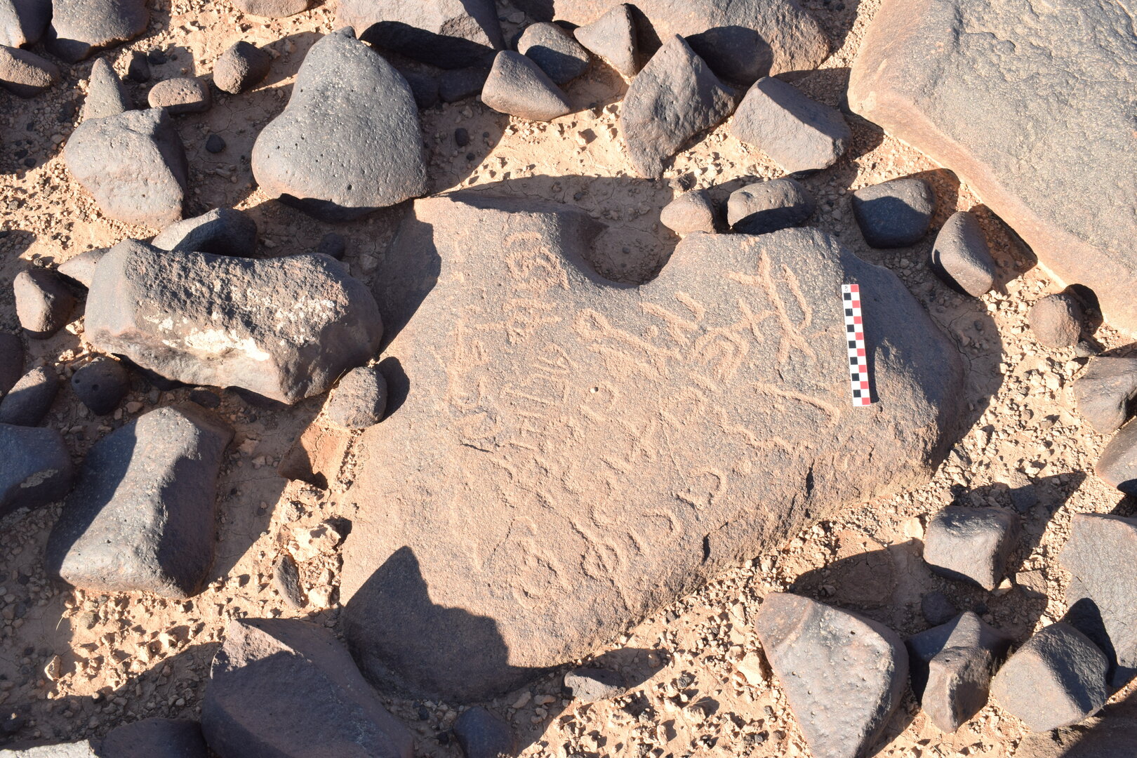 Image of BES26_HRN3 4