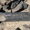 Image of BES26_HRN4 1