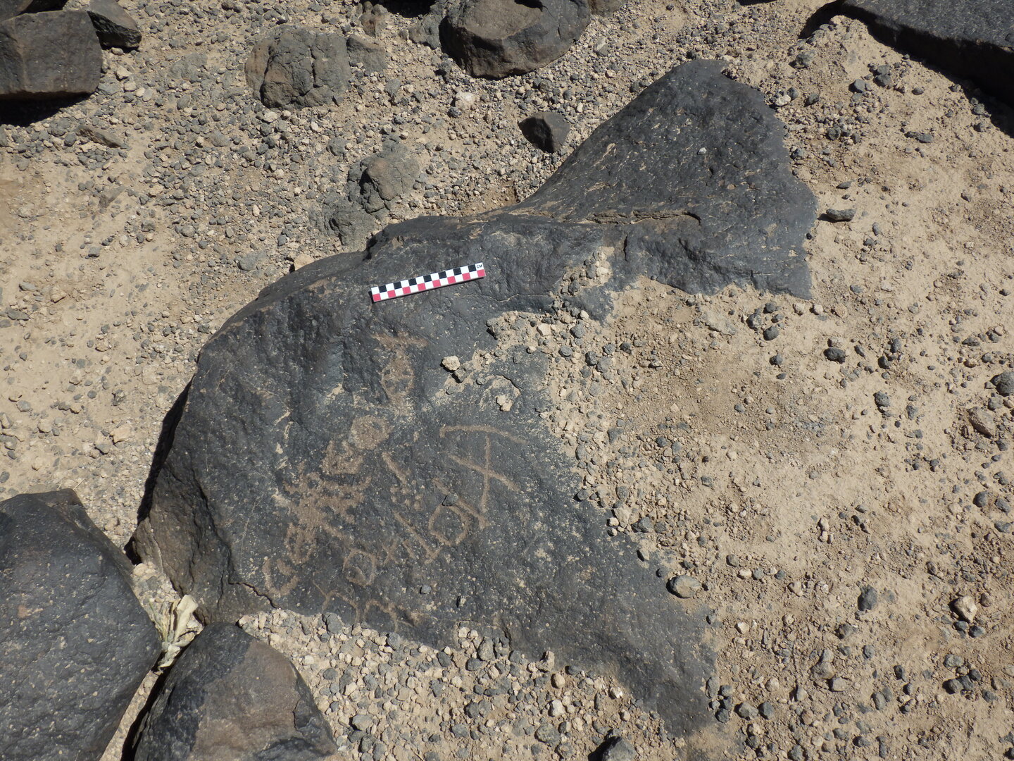 Image of BES26_HRN4 12