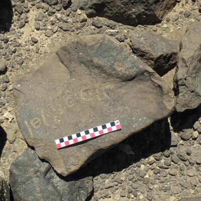 Image of BES26_HRN4 14