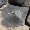 Image of BES26_HRN4 15