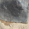 Image of BES26_HRN4 16