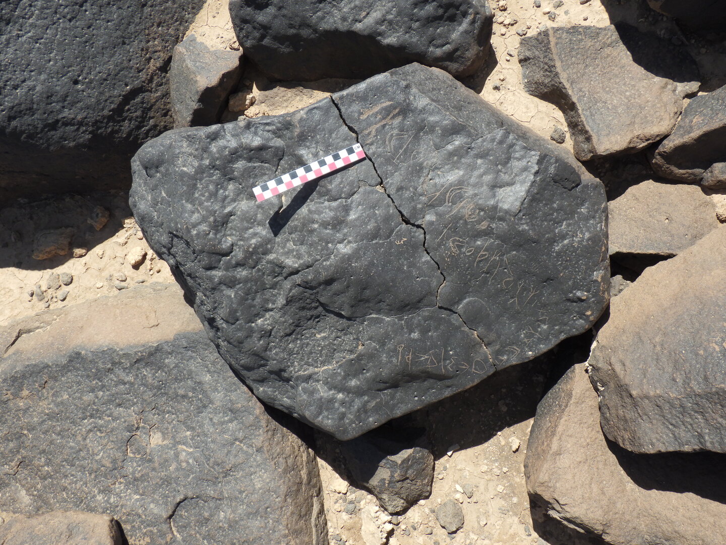 Image of BES26_HRN4 18