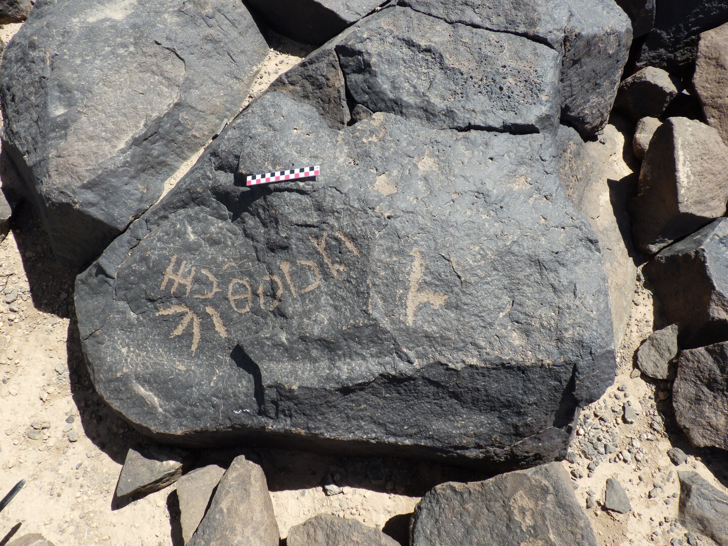 Image of BES26_HRN4 2
