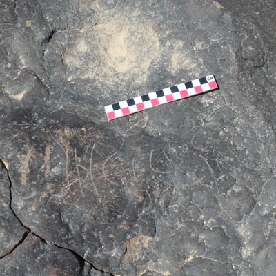 Image of BES26_HRN4 20