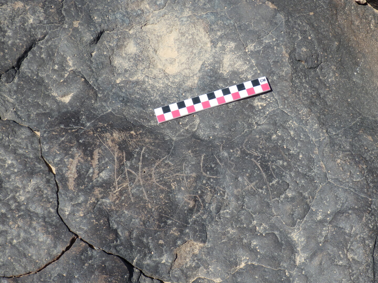 Image of BES26_HRN4 20