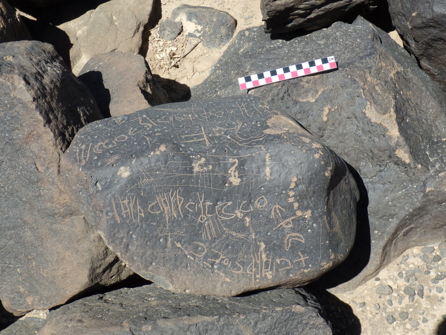 Image of BES26_HRN4 21