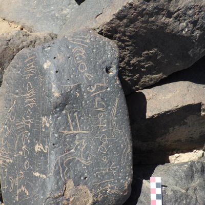 Image of BES26_HRN4 22
