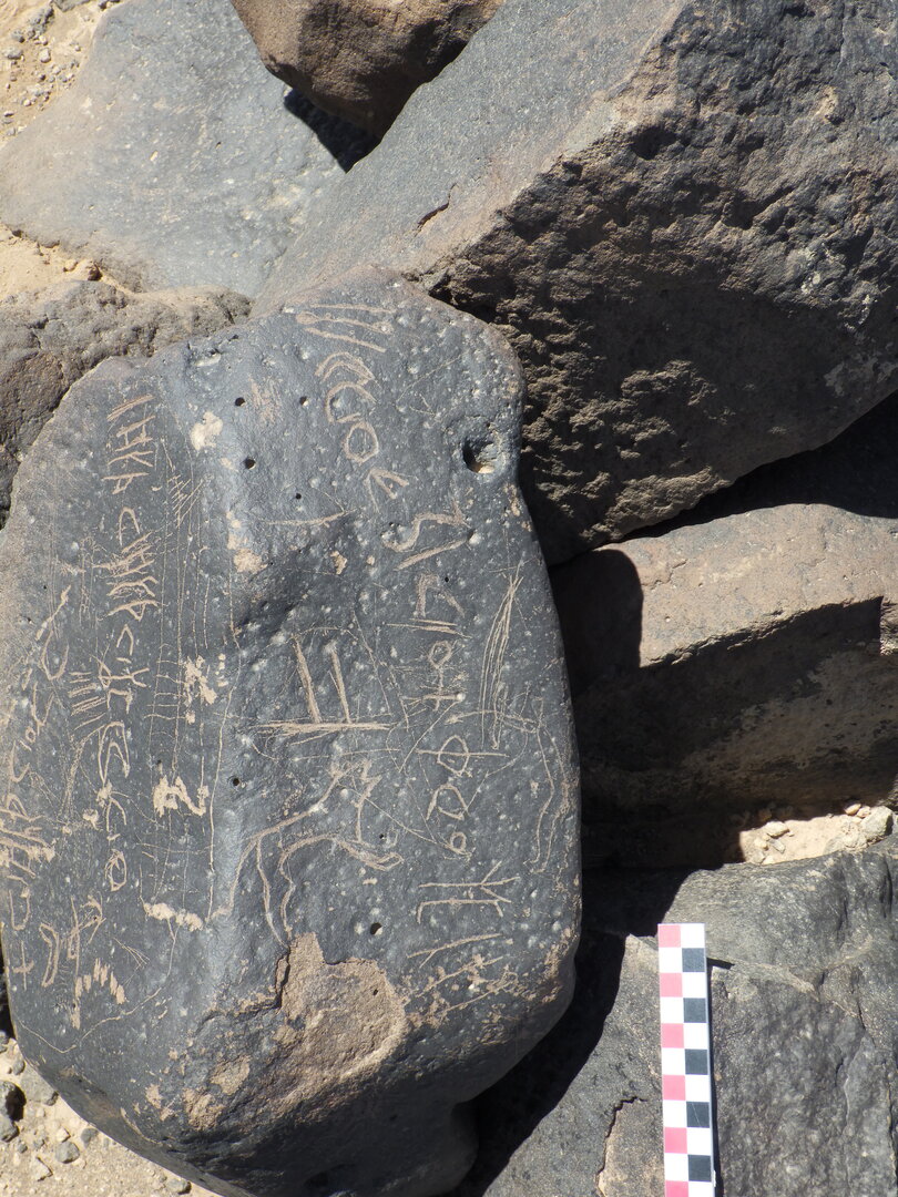 Image of BES26_HRN4 22