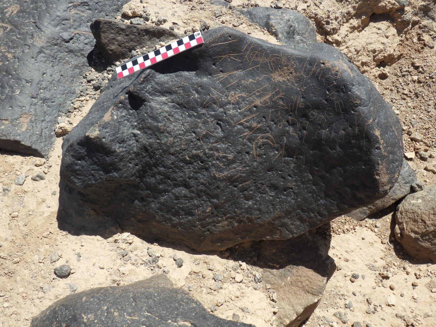Image of BES26_HRN4 5