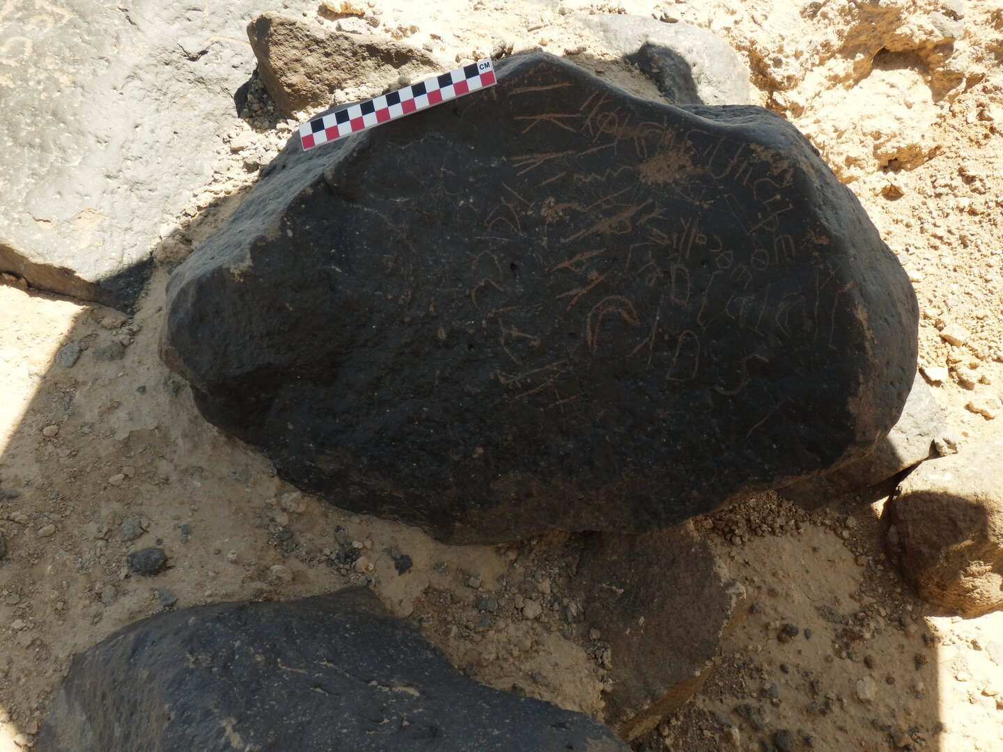 Image of BES26_HRN4 5