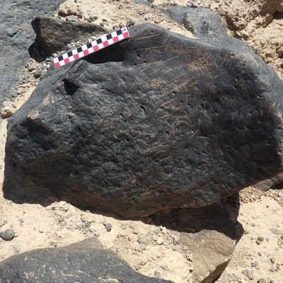 Image of BES26_HRN4 5