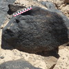 Image of BES26_HRN4 5