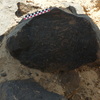 Image of BES26_HRN4 5