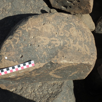 Image of BES26_HRN7 1