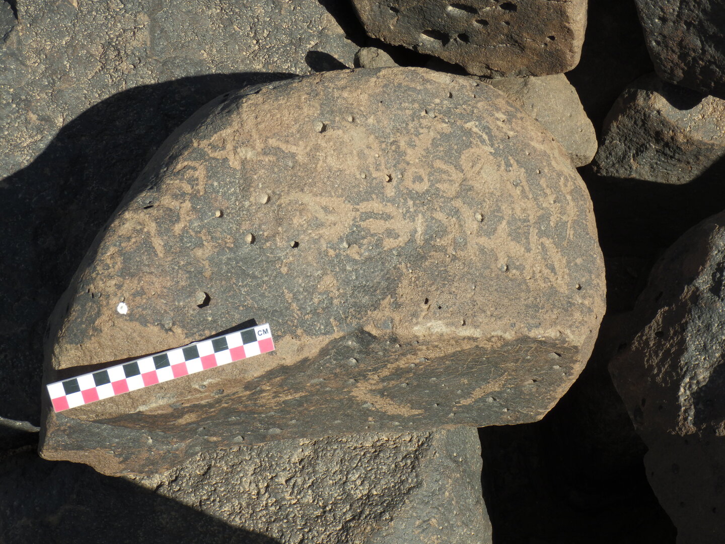 Image of BES26_HRN7 1