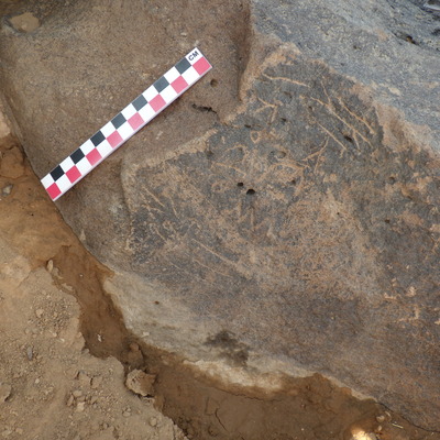 Image of BES26_HRN7 17