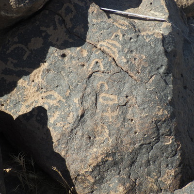 Image of BES26_HRN7 5