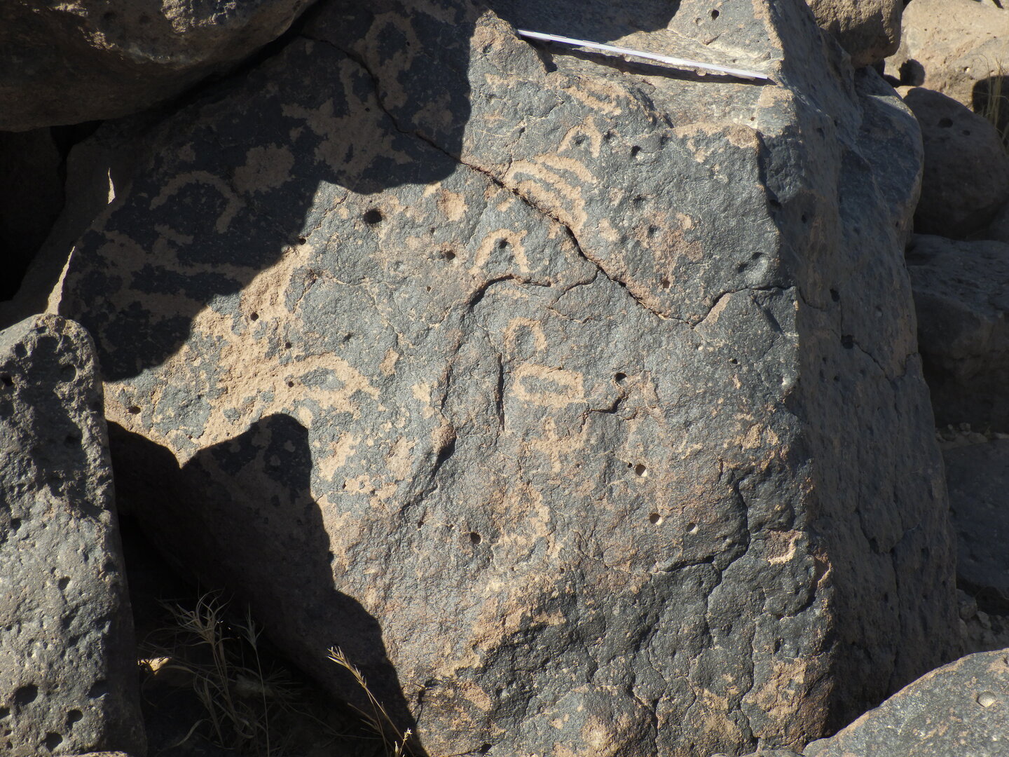 Image of BES26_HRN7 5