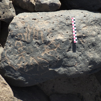 Image of BES26_HRN7 6