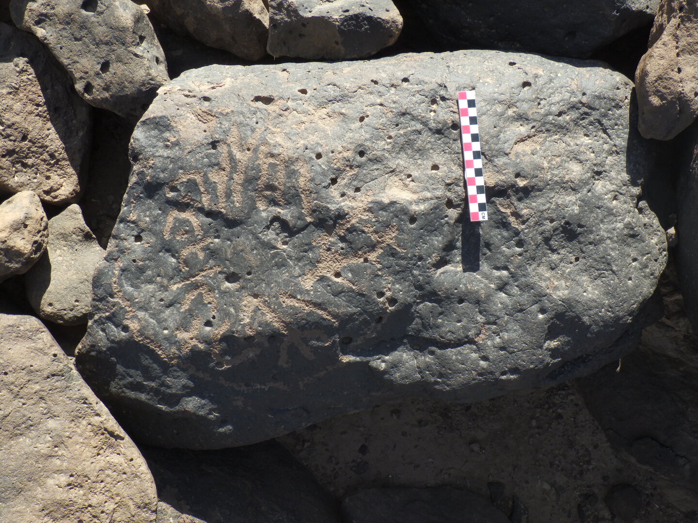 Image of BES26_HRN7 6