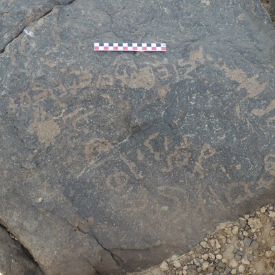 Image of BES26_HRN7 7