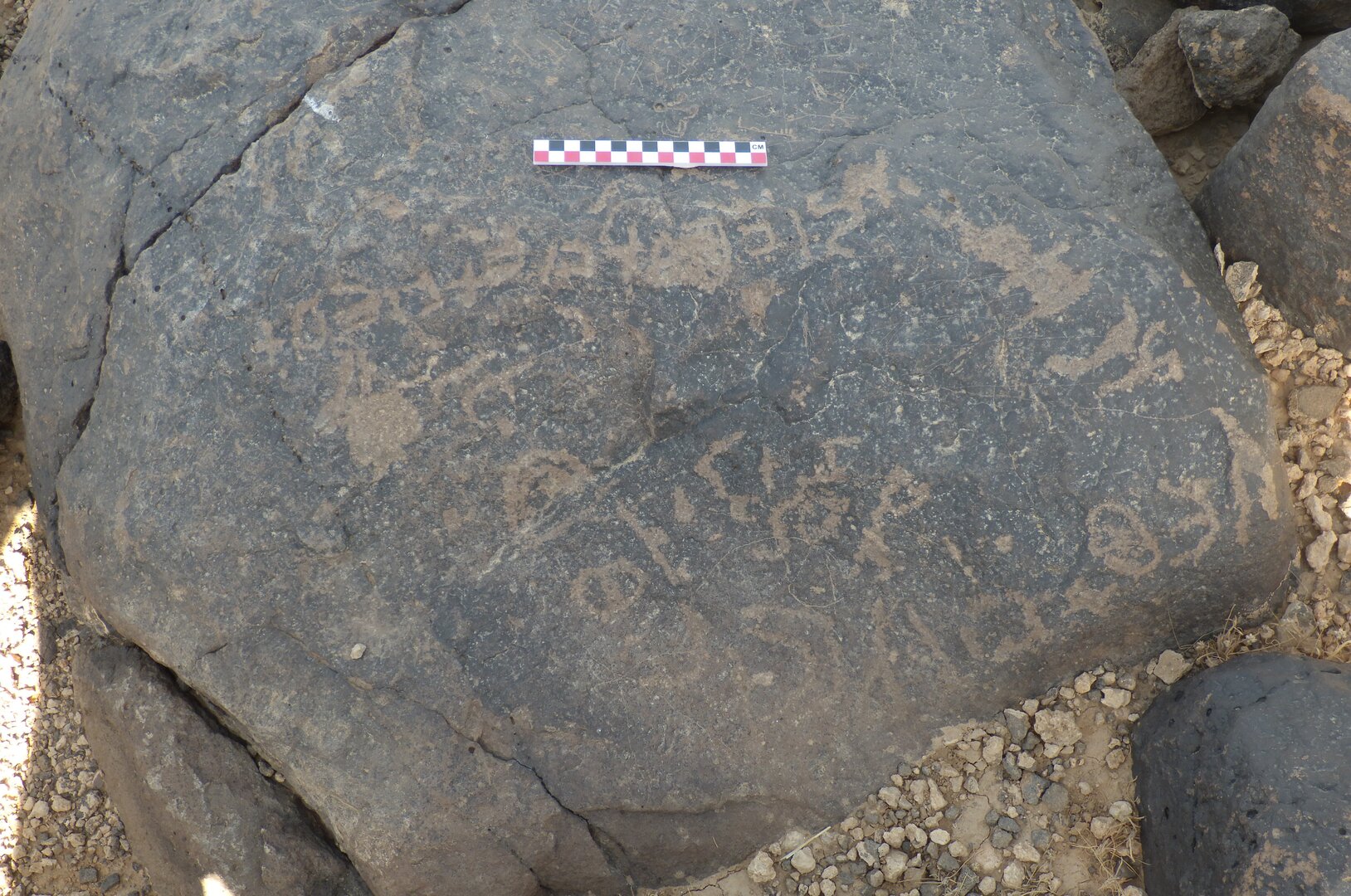 Image of BES26_HRN7 7