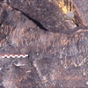 inscription of siglum BRenv.B 1