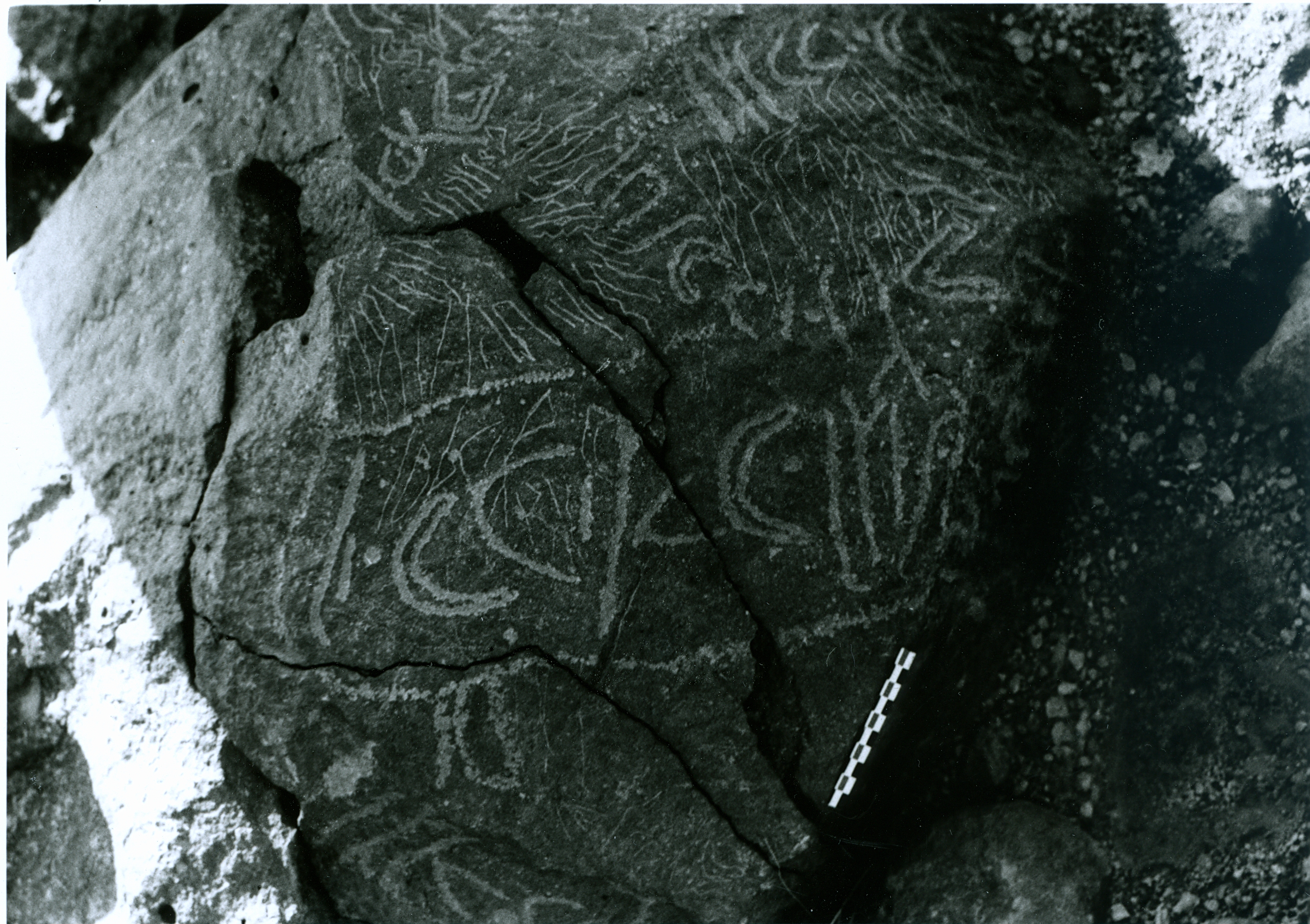 inscription of siglum BRenv.J 21