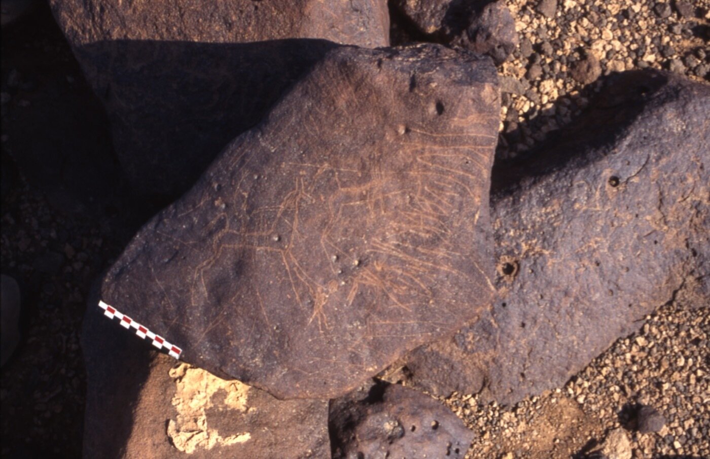 inscription of siglum BRenv.J 46