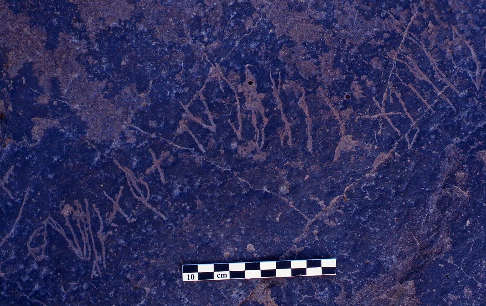 inscription of siglum BRenv.K 2