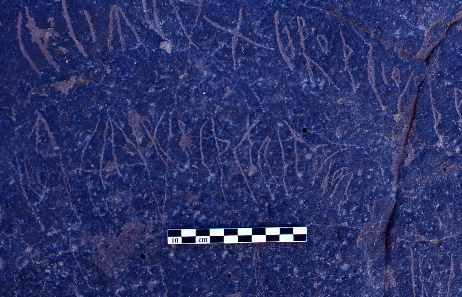 inscription of siglum BRenv.K 2