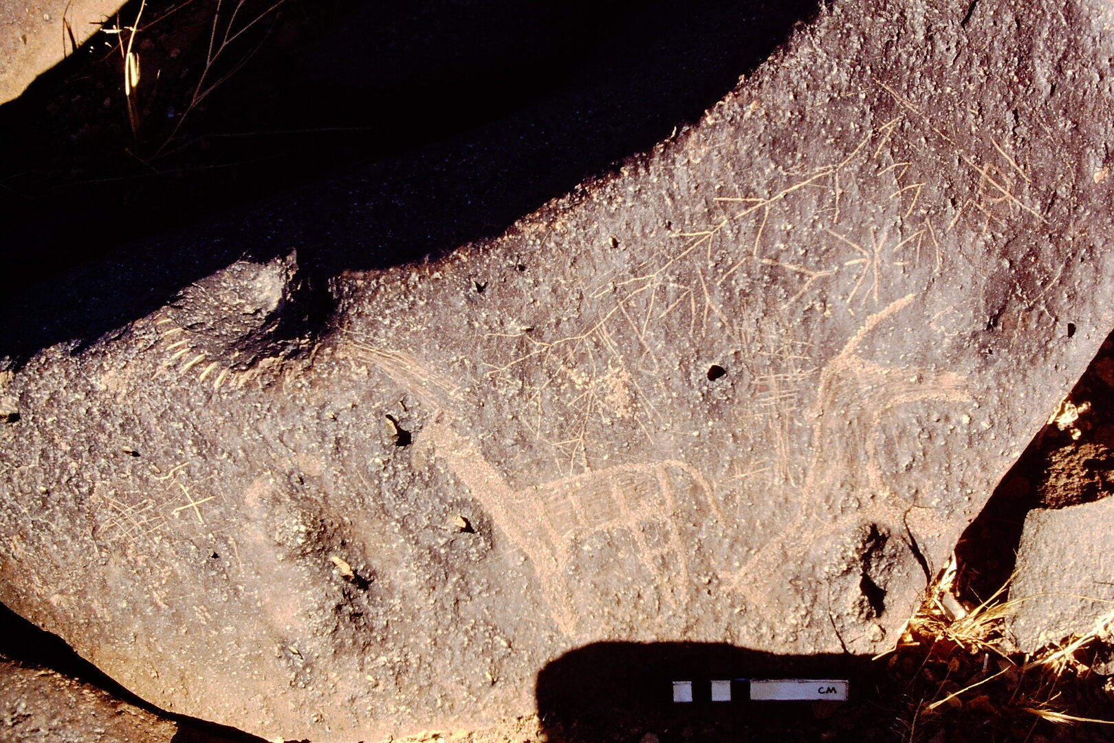 inscription of siglum BTH 156