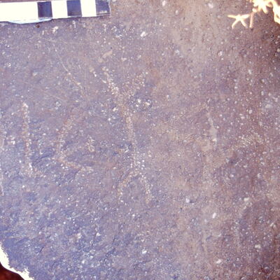 inscription of siglum BTH 179