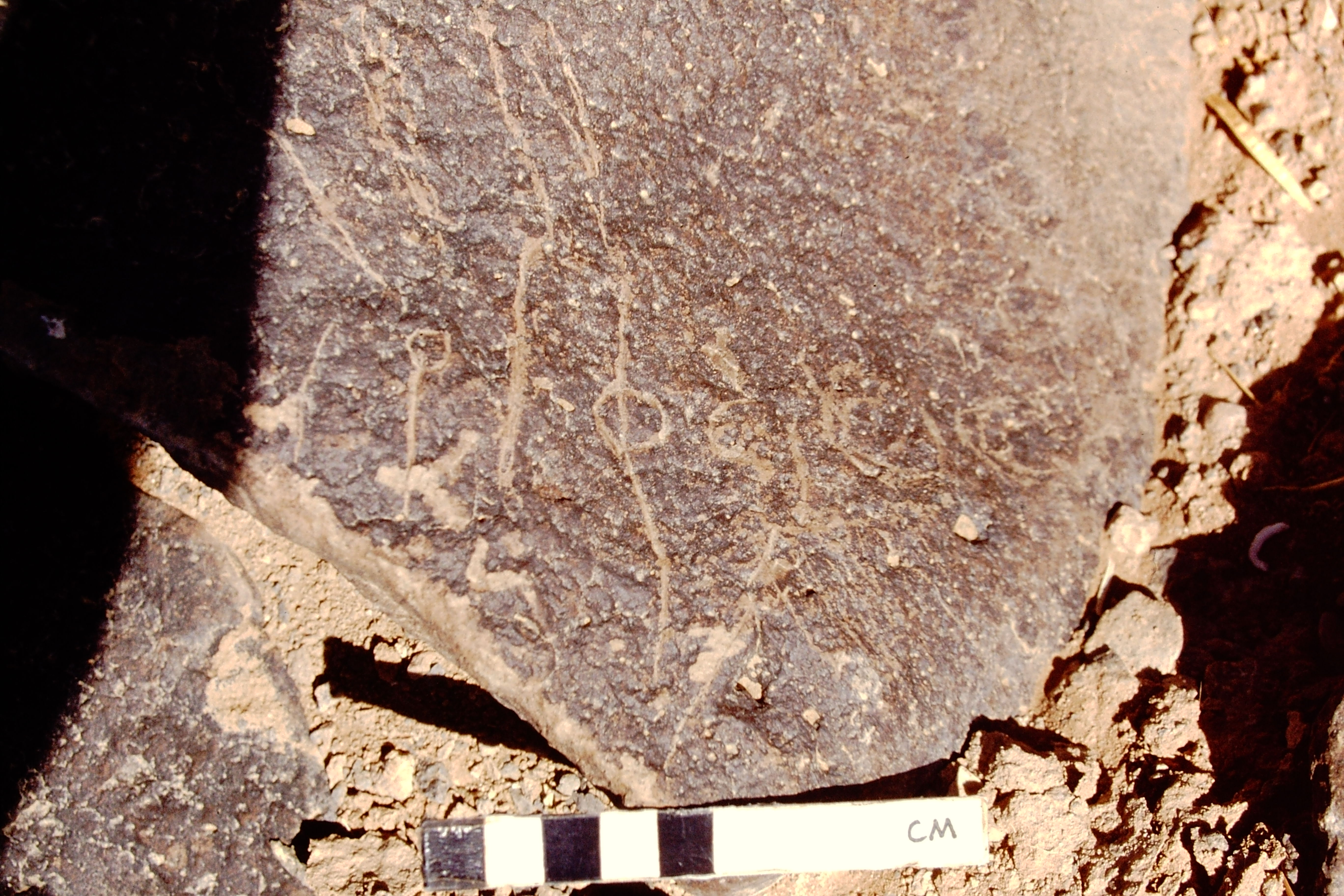 inscription of siglum BTH 203