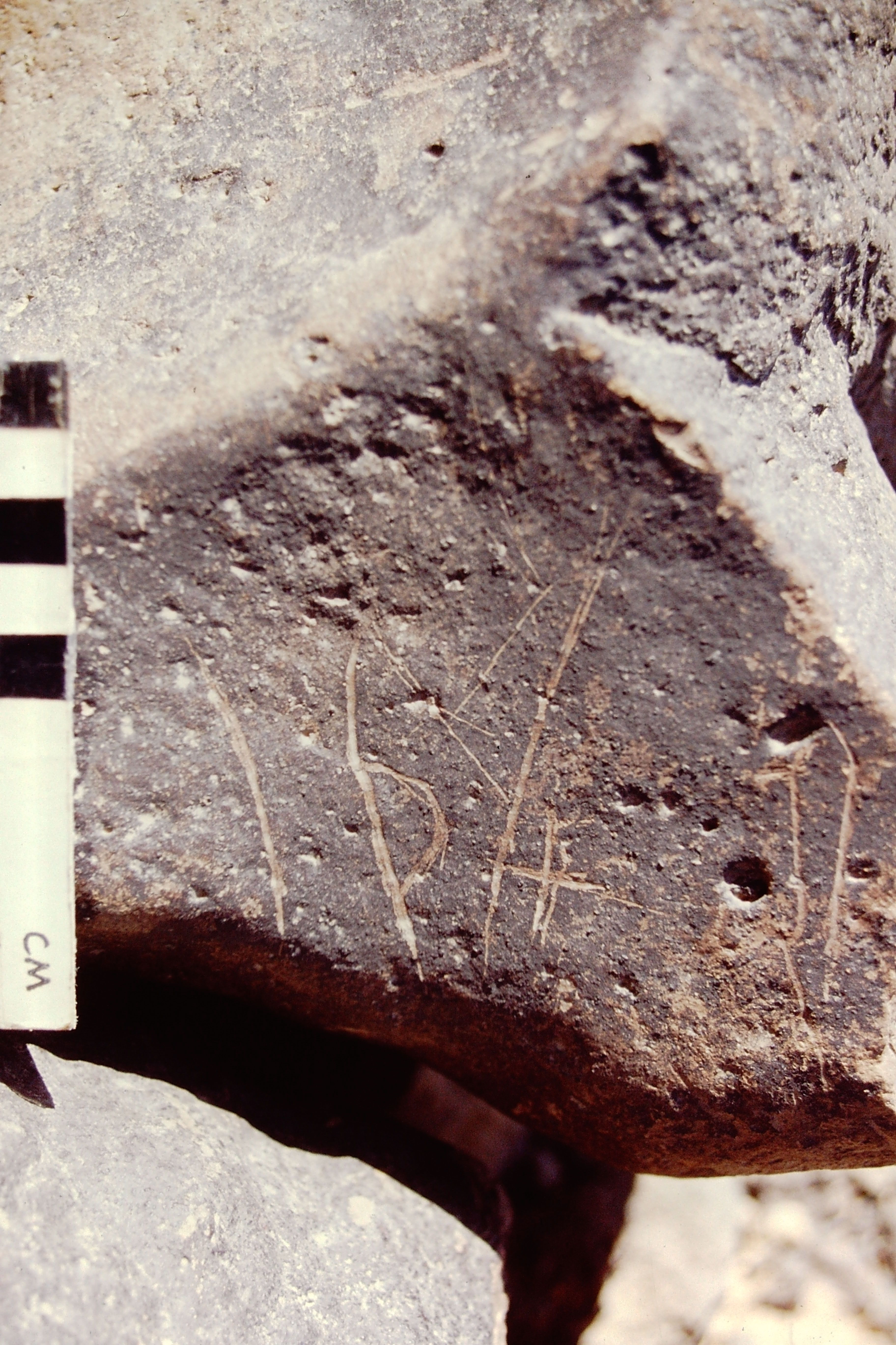 inscription of siglum BTH 207