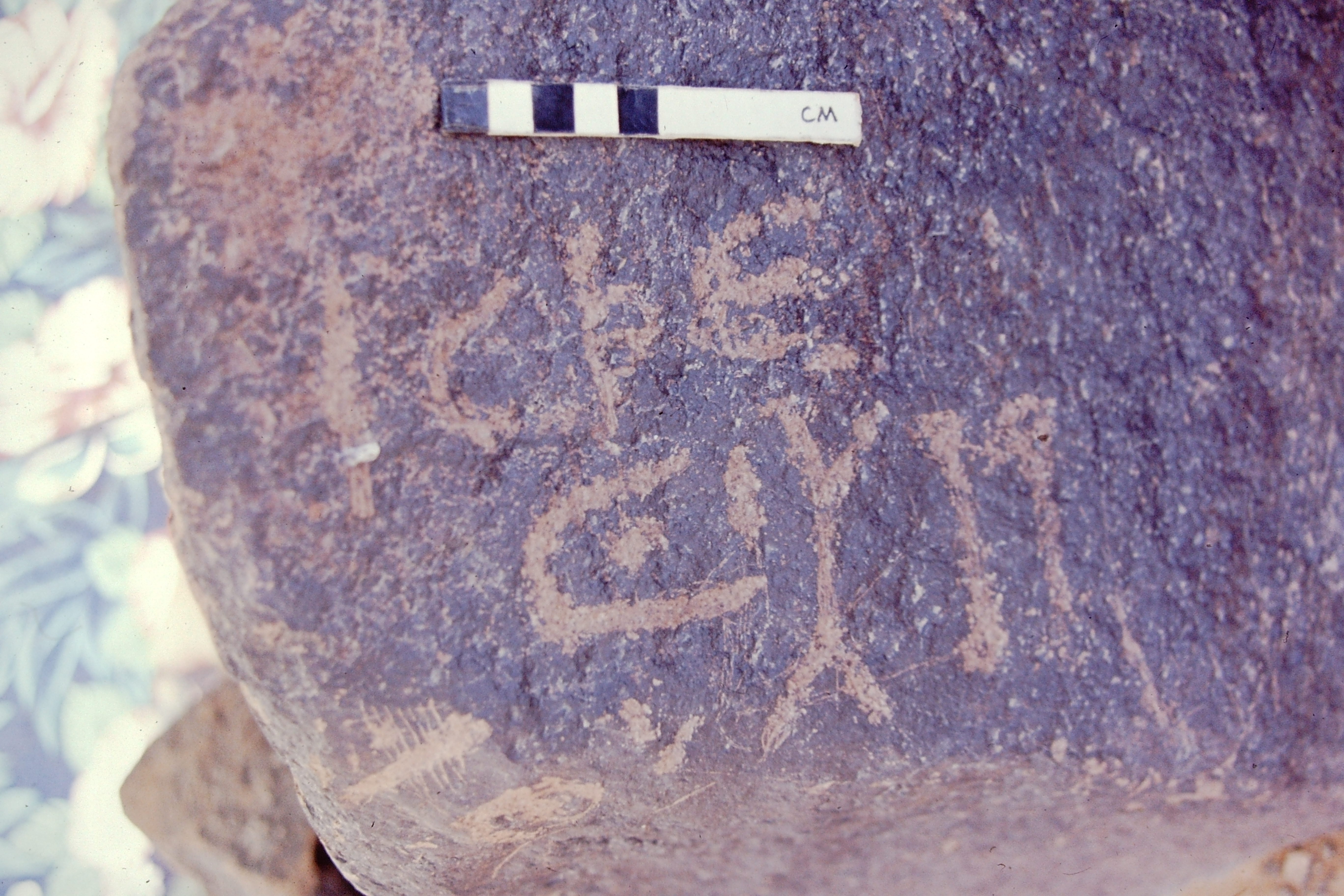 inscription of siglum BTH 56