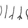 inscription of siglum C 102