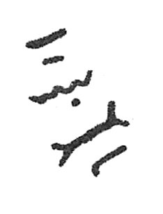 inscription of siglum C 1749