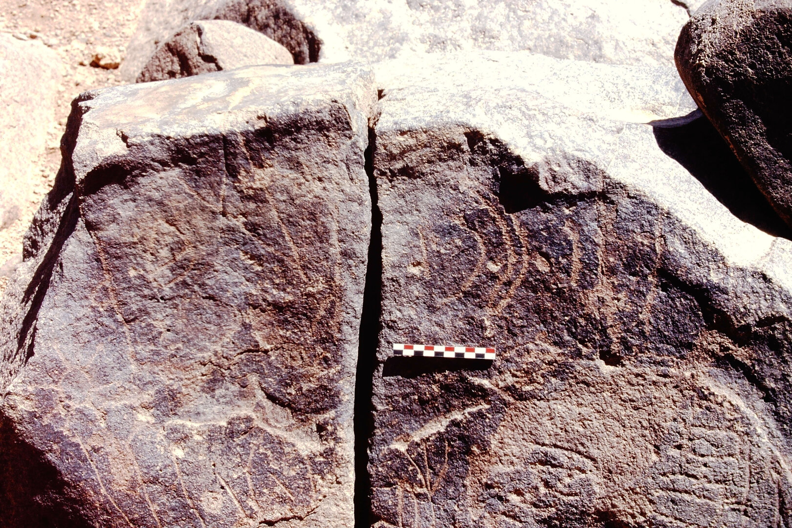 inscription of siglum C 3249
