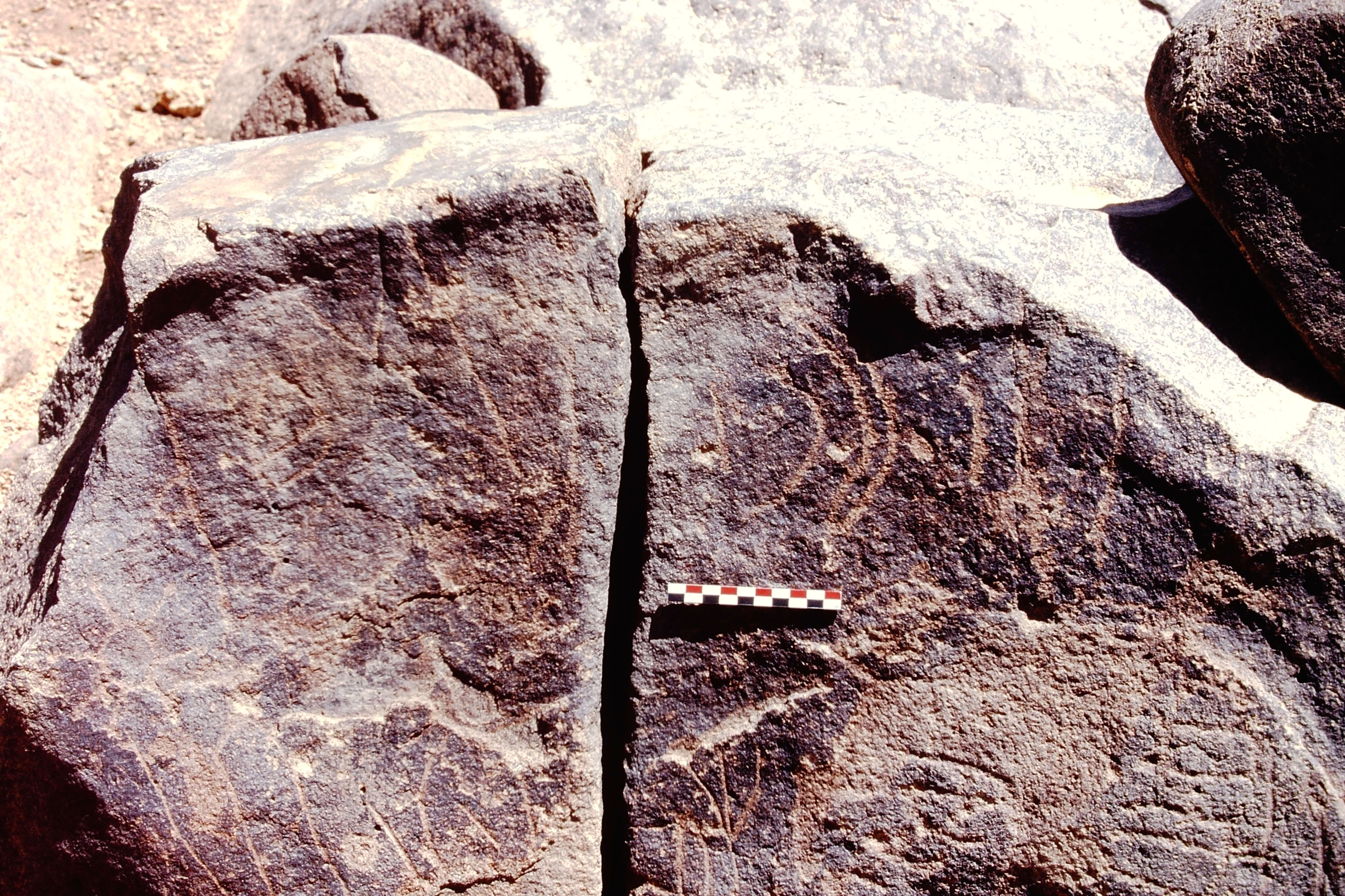 inscription of siglum C 3249