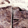 inscription of siglum C 3249