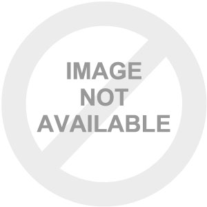 inscription of siglum C 3758