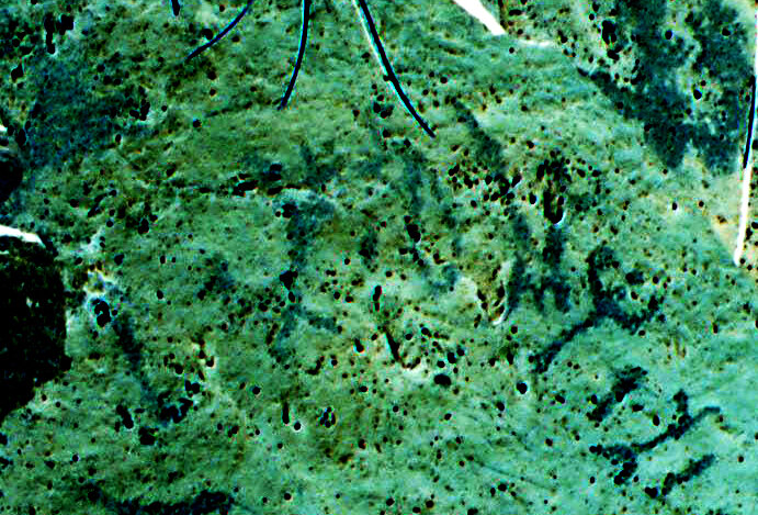 inscription of siglum C 4039