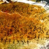 inscription of siglum C 4041